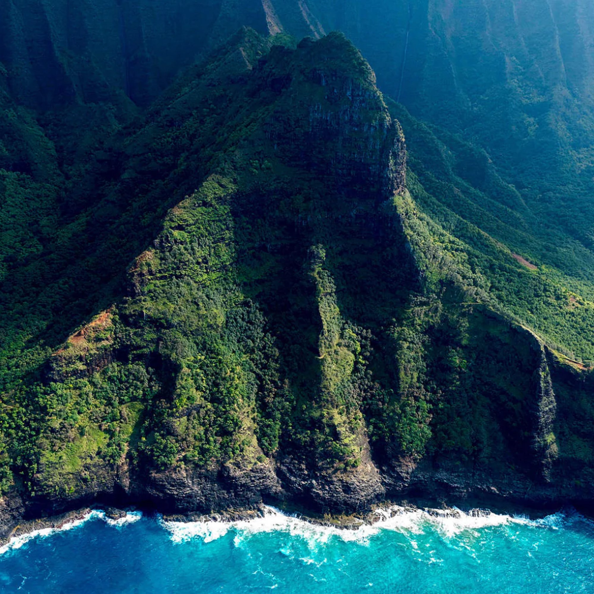 'The Rock' by Dinesh Boaz