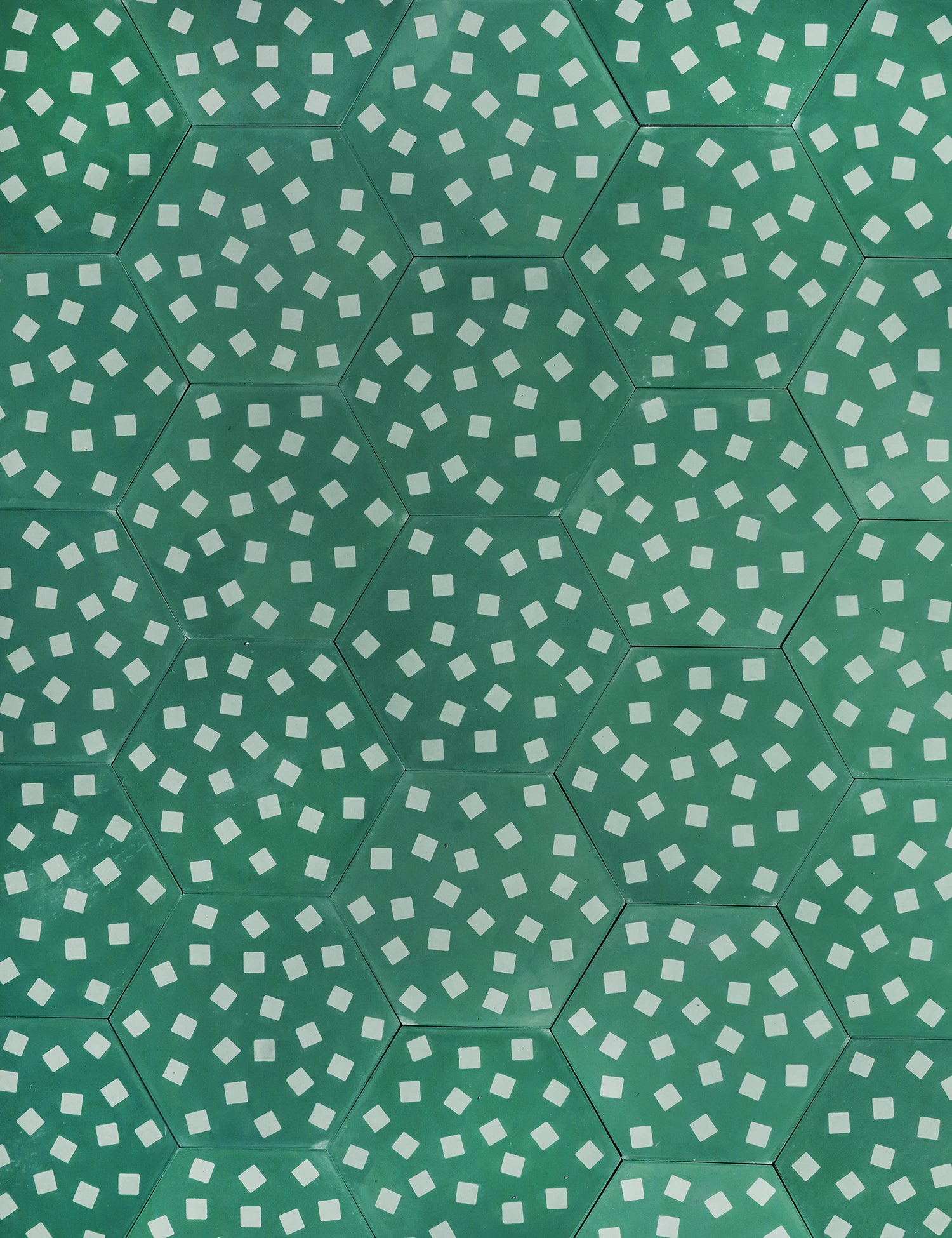 Fragments Honeydew Fern