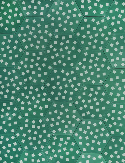 Fragments Honeydew Fern