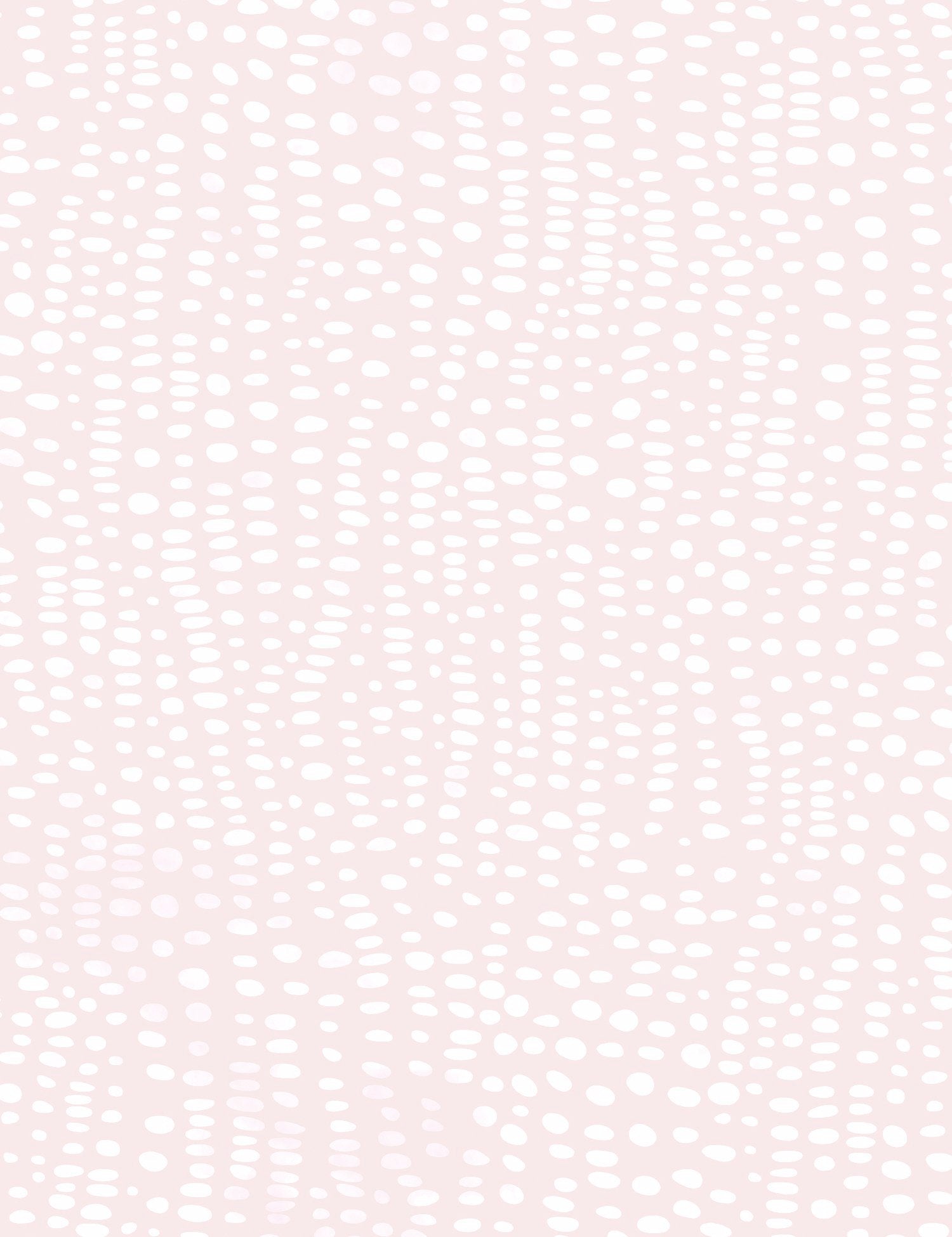 Anemone Jasmine