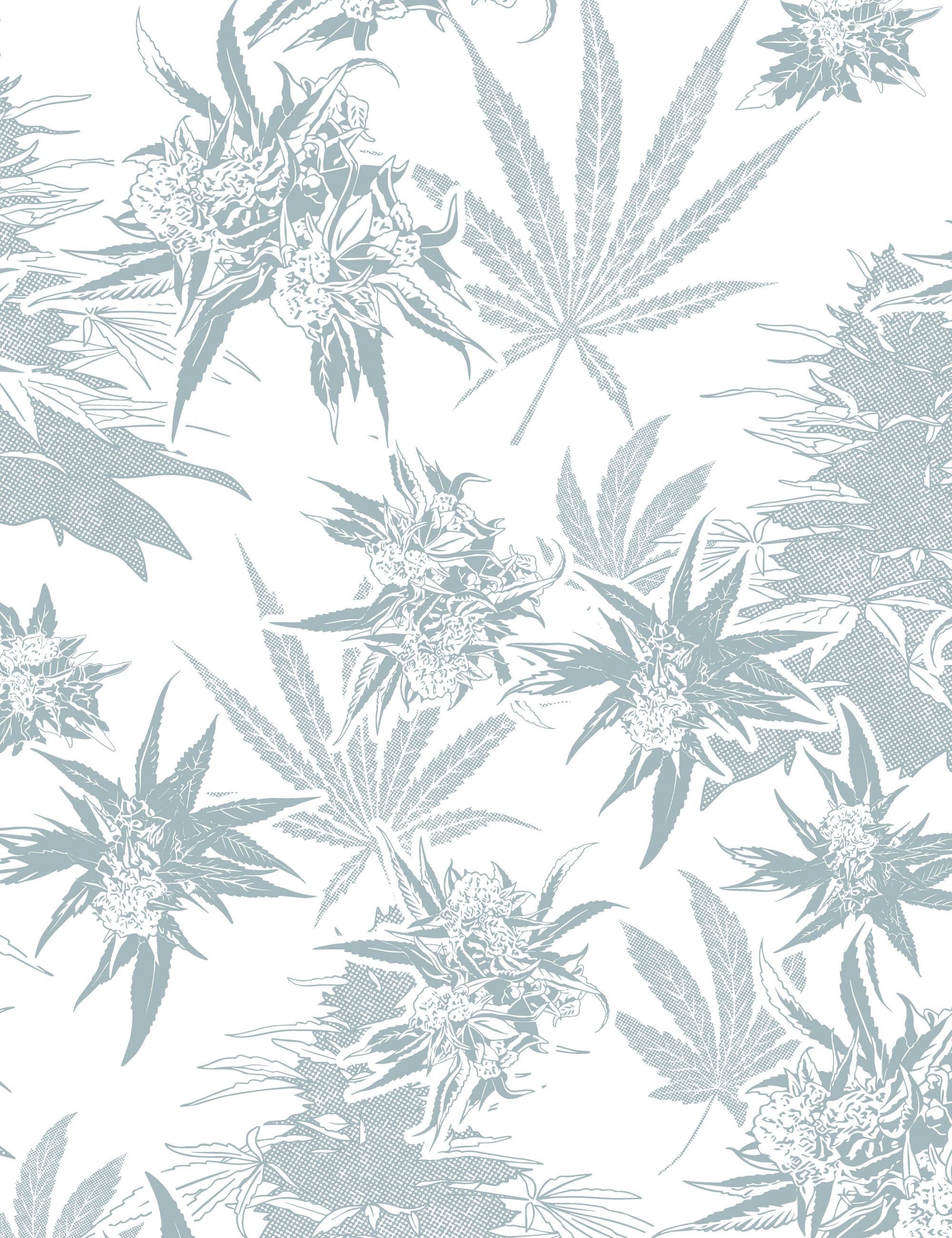 Buddy Doobie