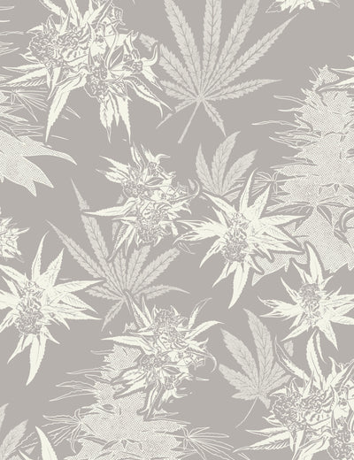 Buddy Ganja