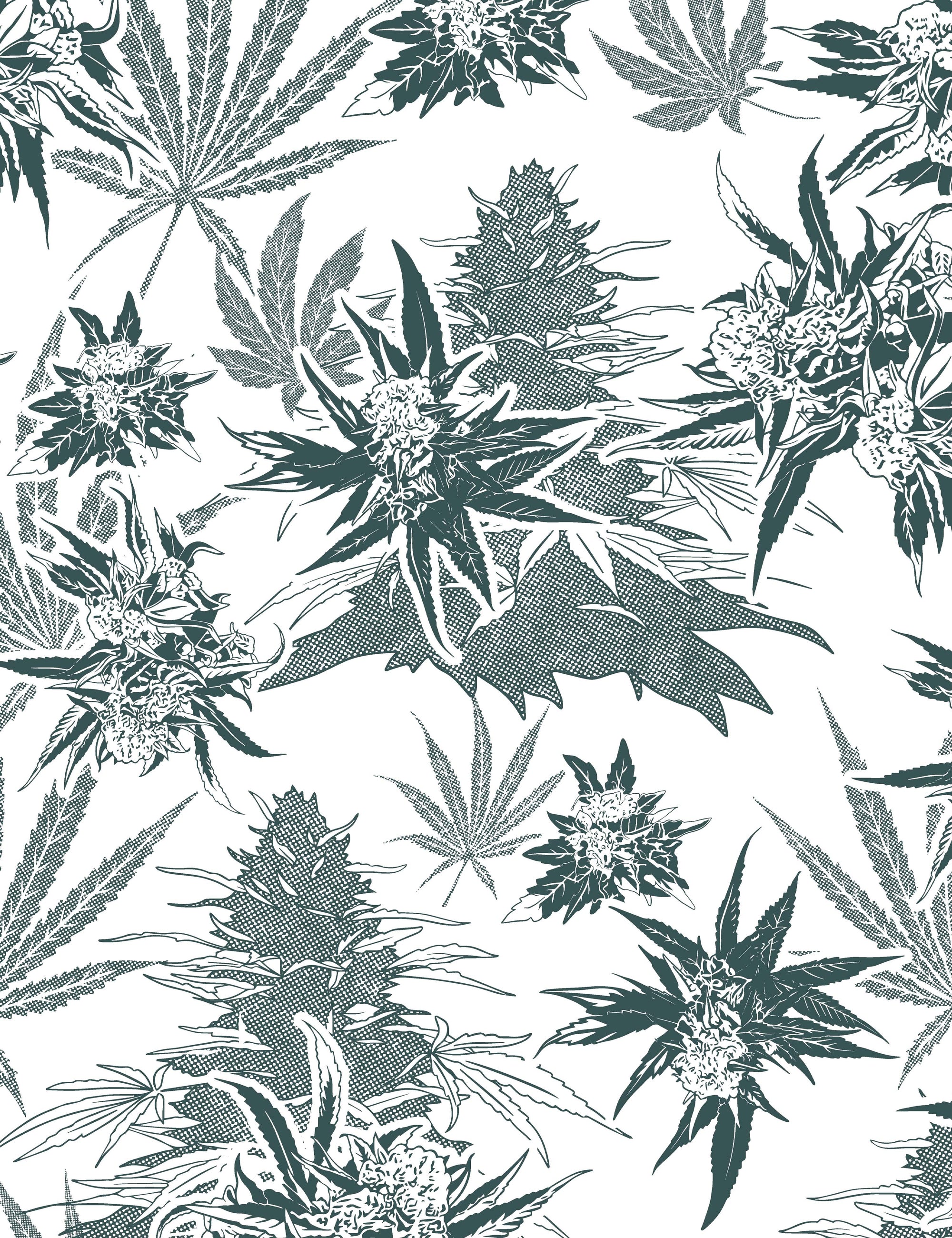 Buddy Herb