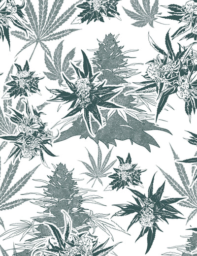 Buddy Herb