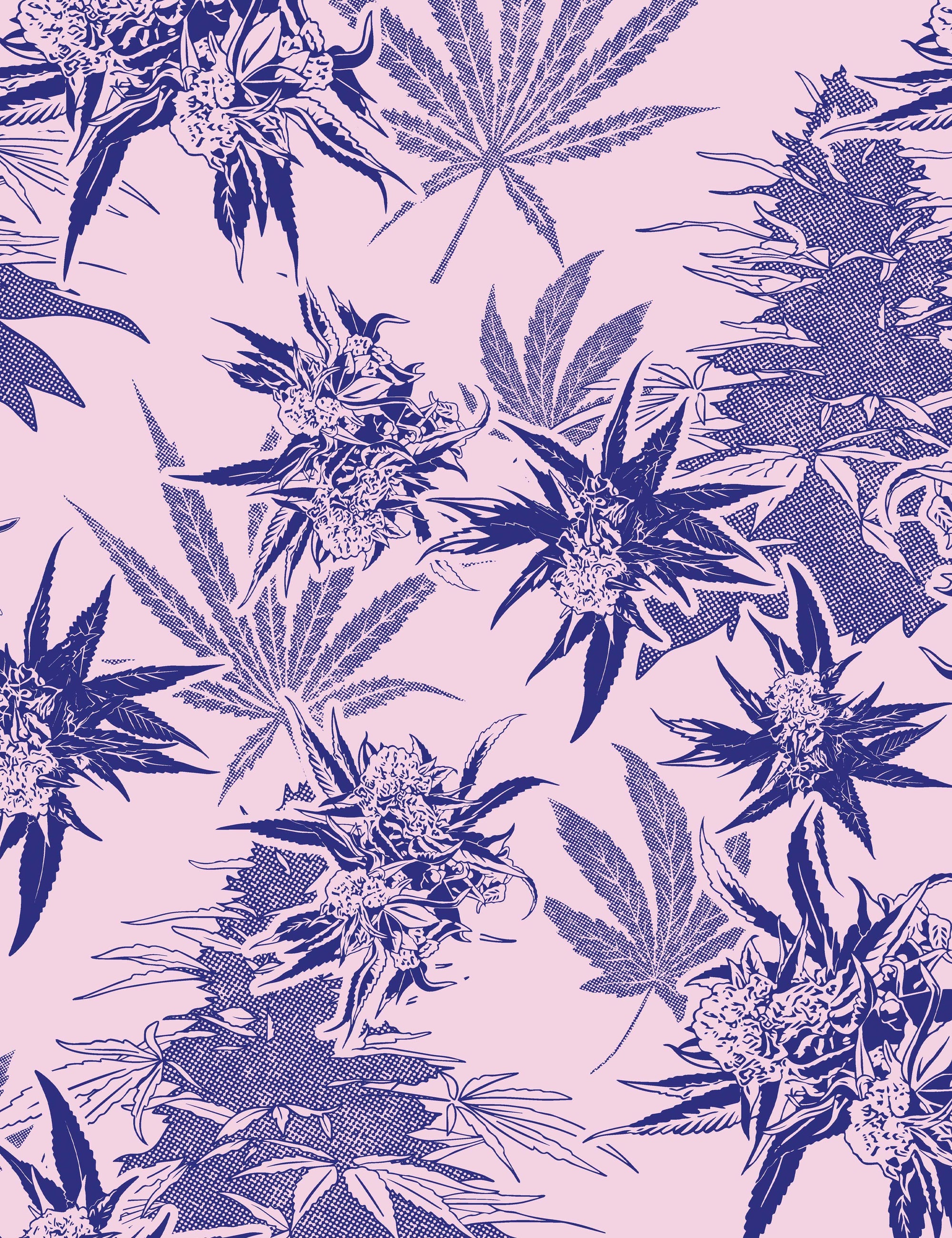 Buddy Kush