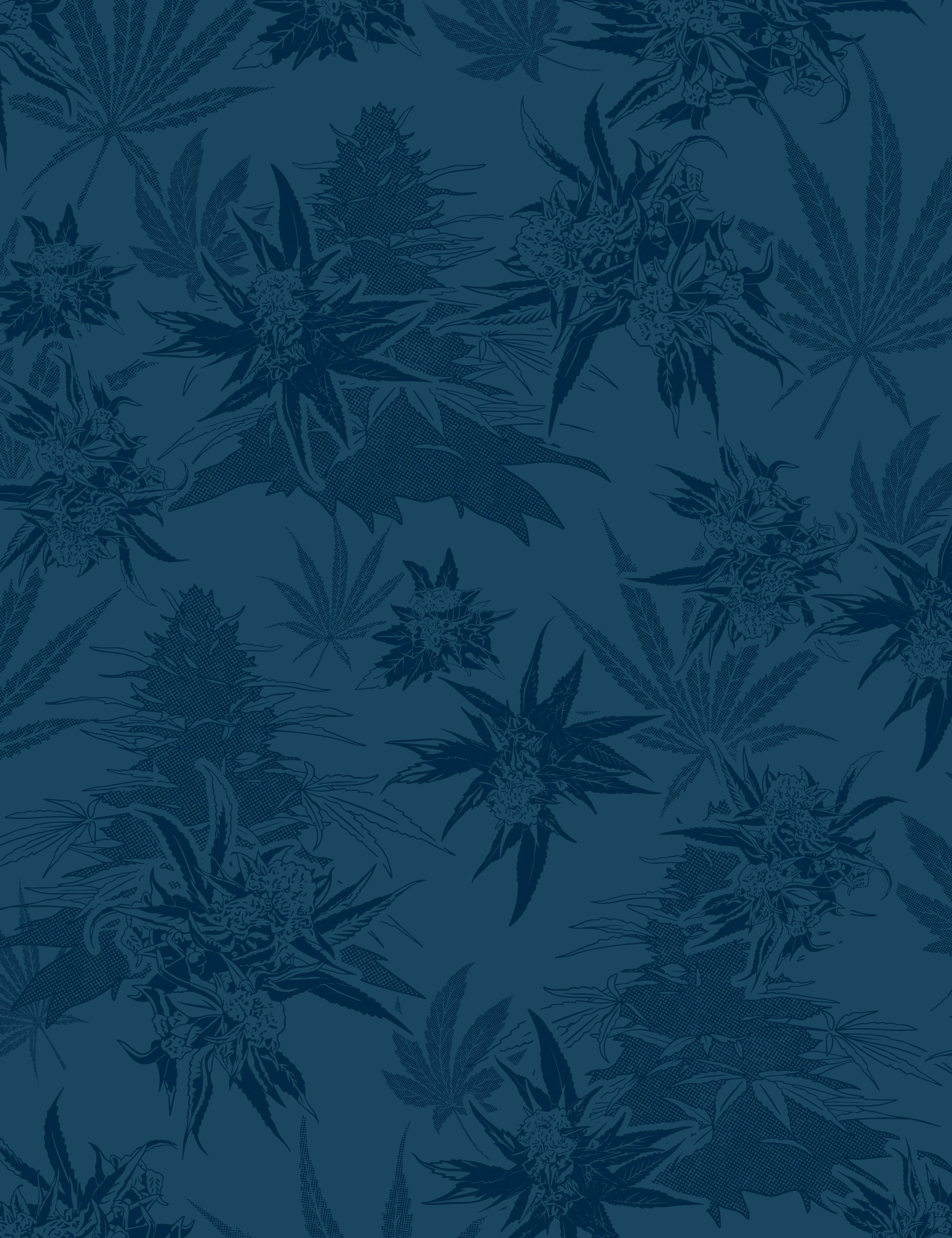 Buddy Reefer