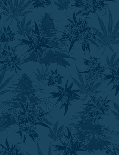 Buddy Reefer