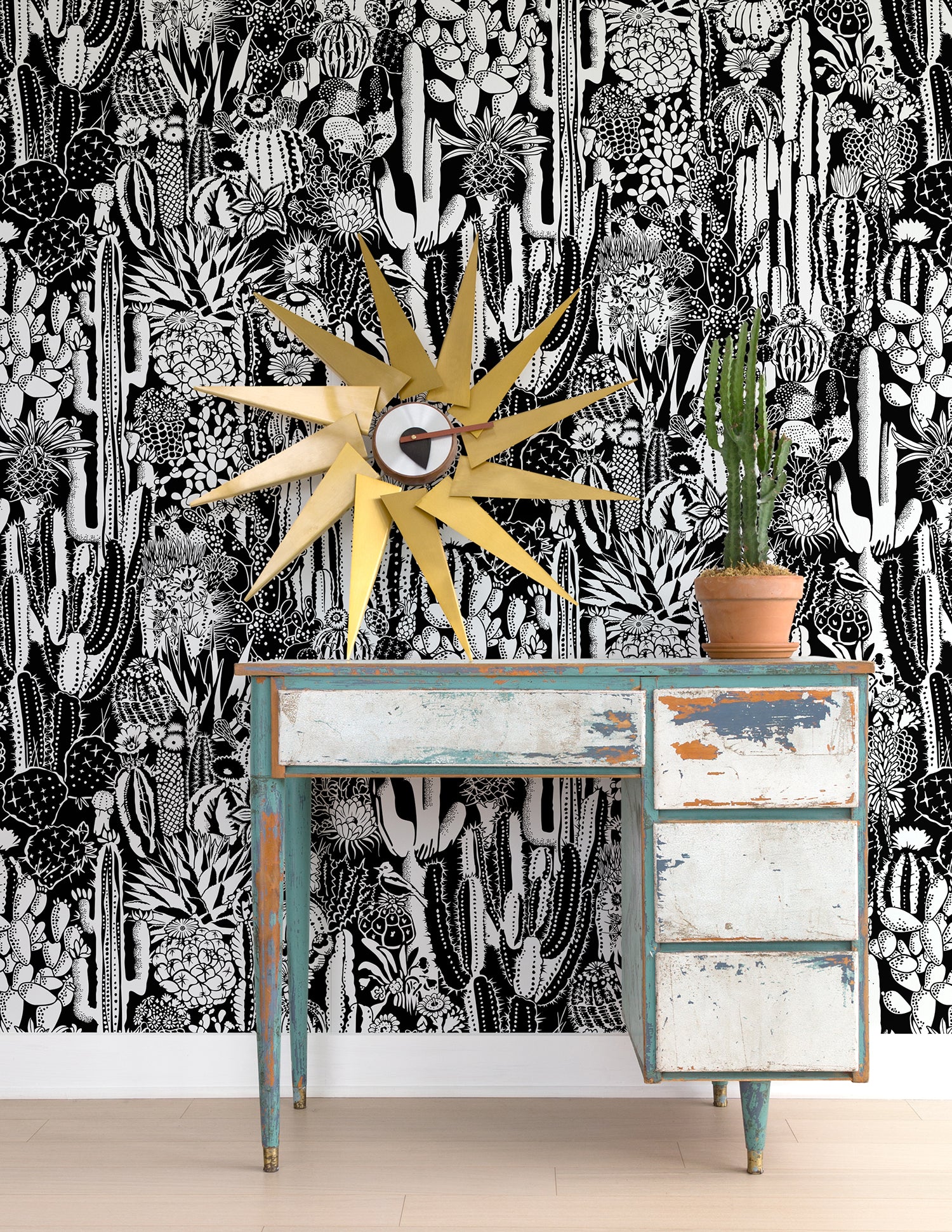 Cactus Spirit Contrast