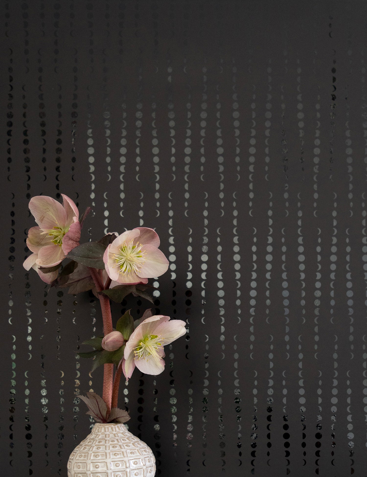 Earthlight Metallic Onyx