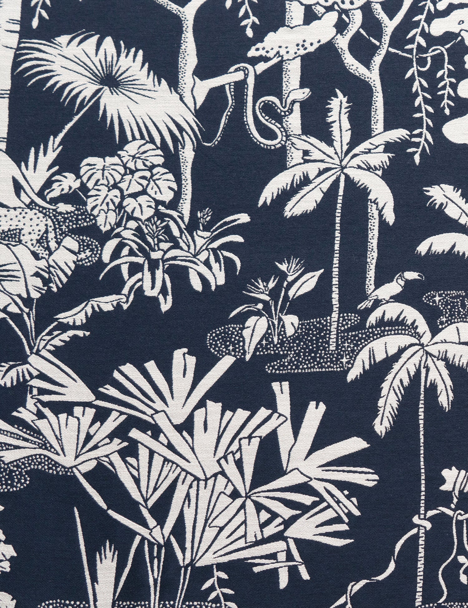 Jungle Dream Oxford