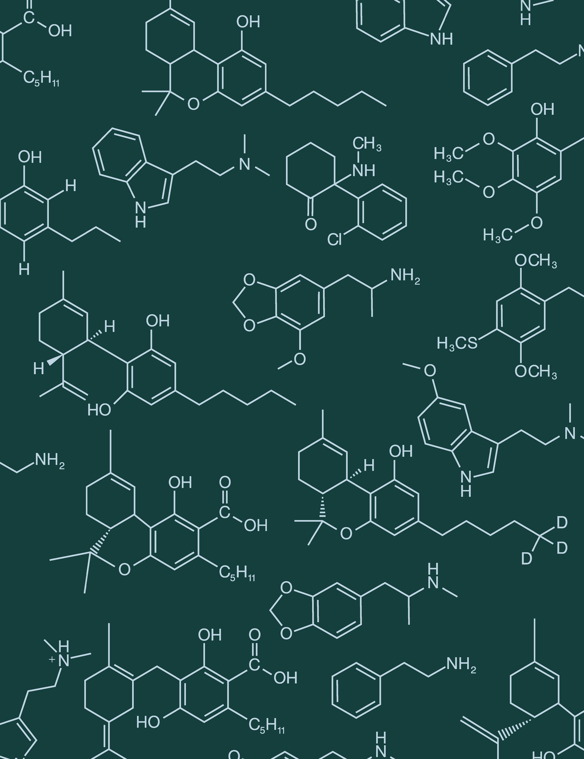 Magic Molecules Scarab