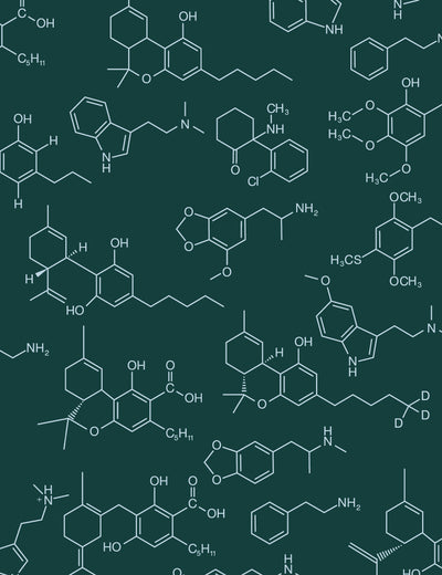 Magic Molecules Scarab