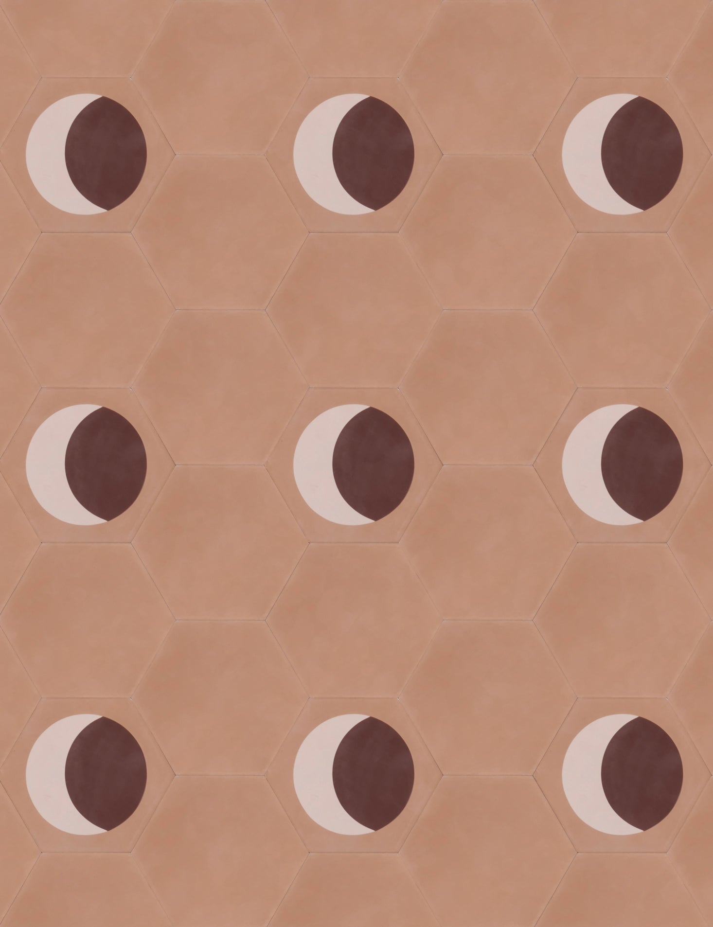 Moon Phase Crescent Capricorn