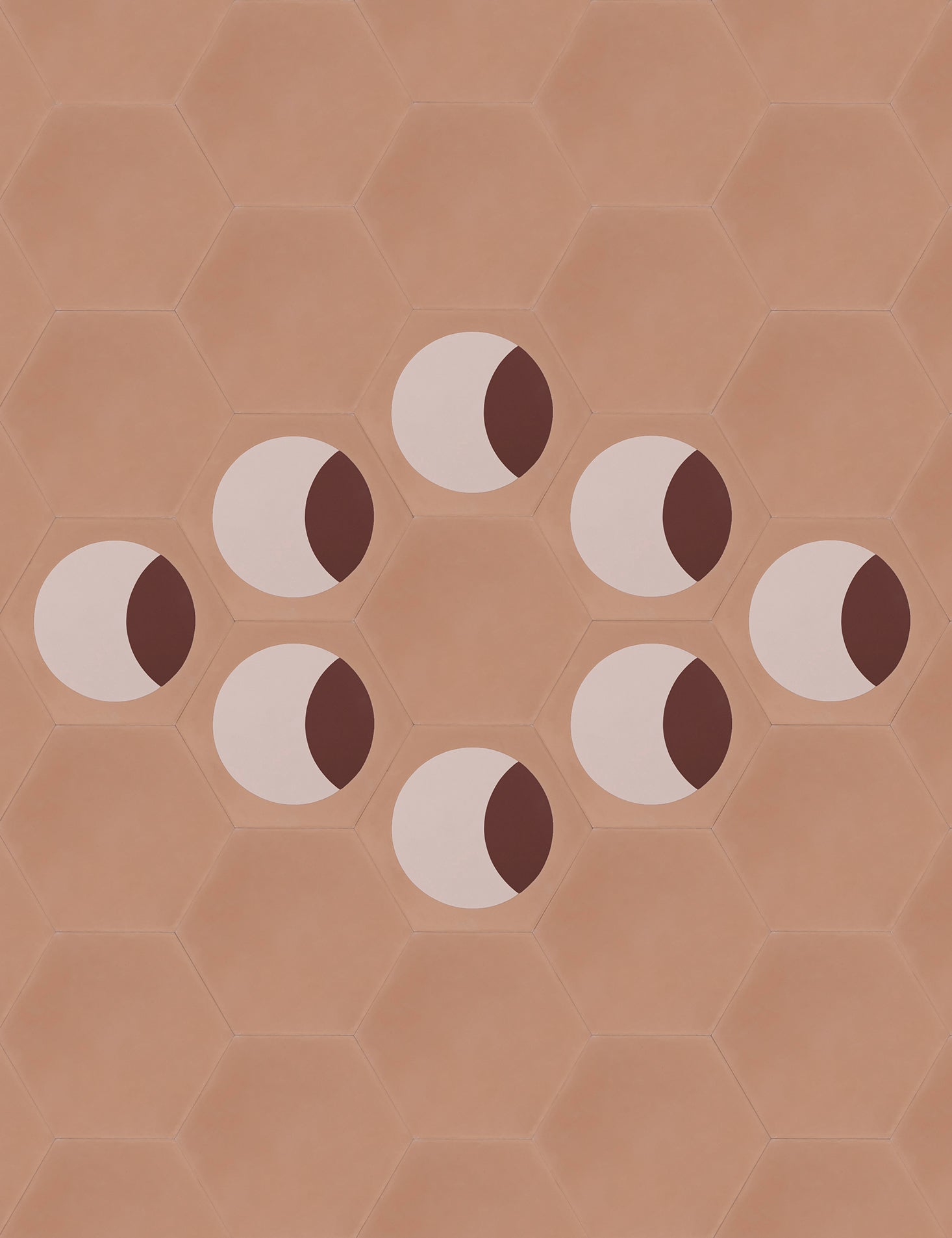 Moon Phase Waning Capricorn