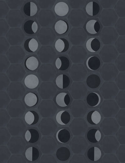 Moon Phase Waning Celestial