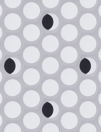 Moon Phase Full Enchanted