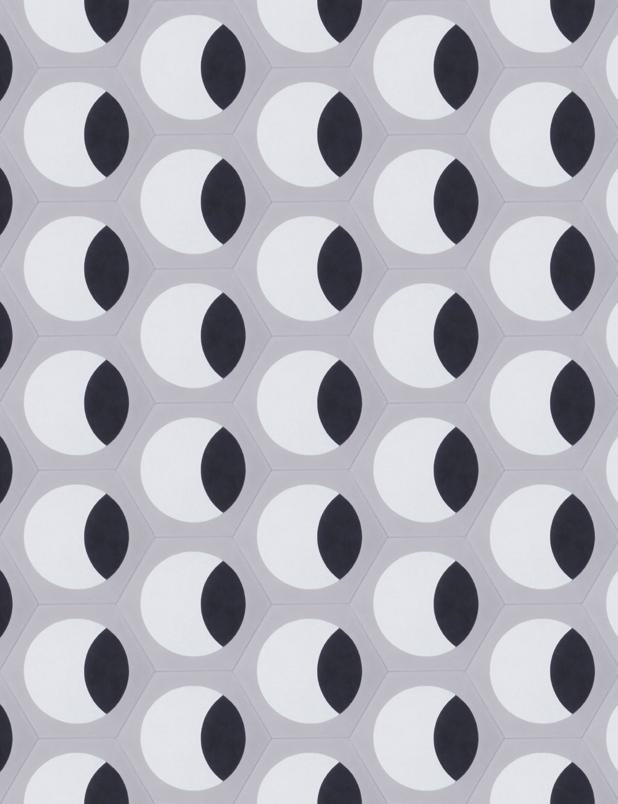 Moon Phase Waning Enchanted