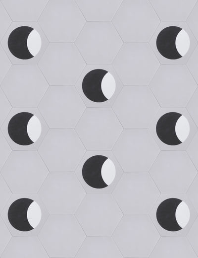 Moon Phase Waning Rev Enchanted