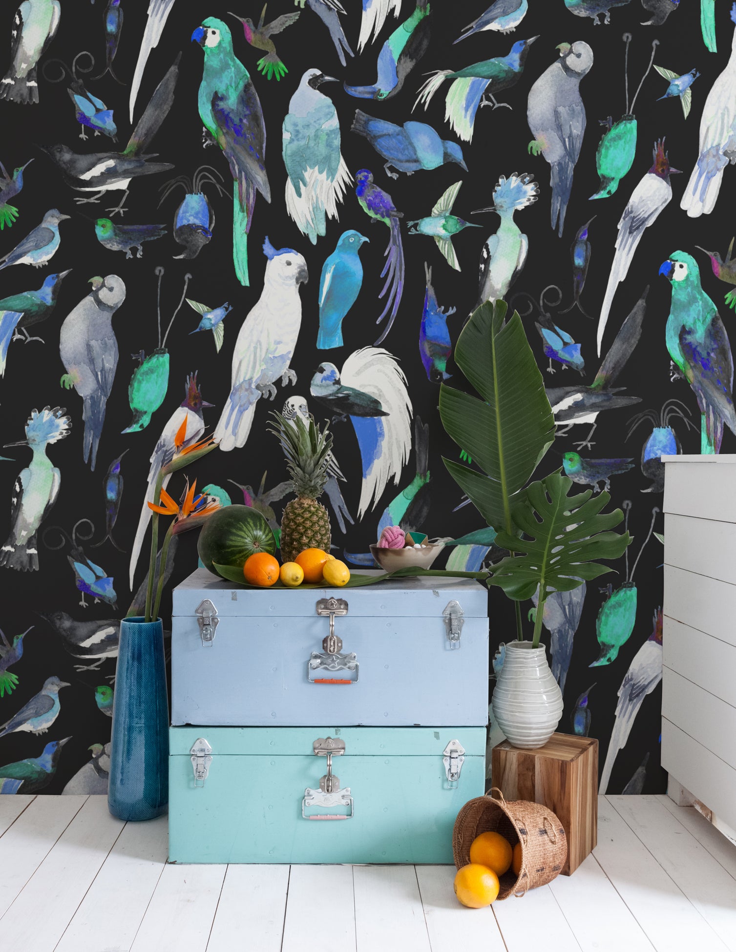 Paradise Birds Aya