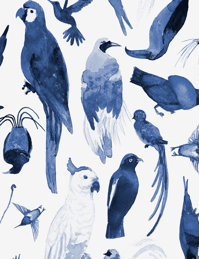 Paradise Birds Kai
