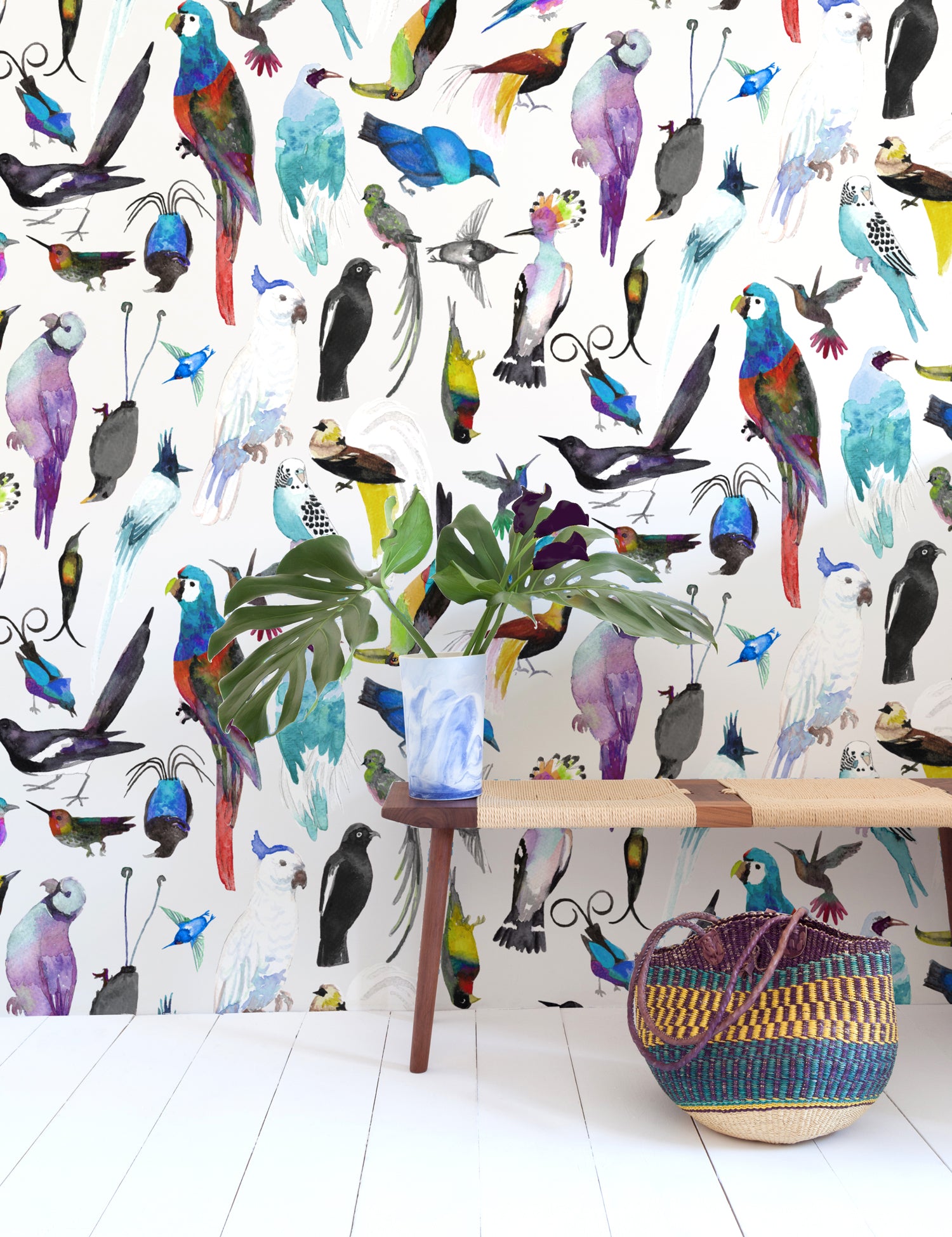 Paradise Birds Kala