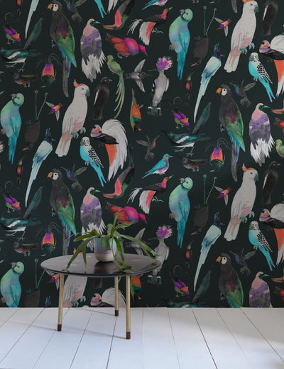 Paradise Birds Liko