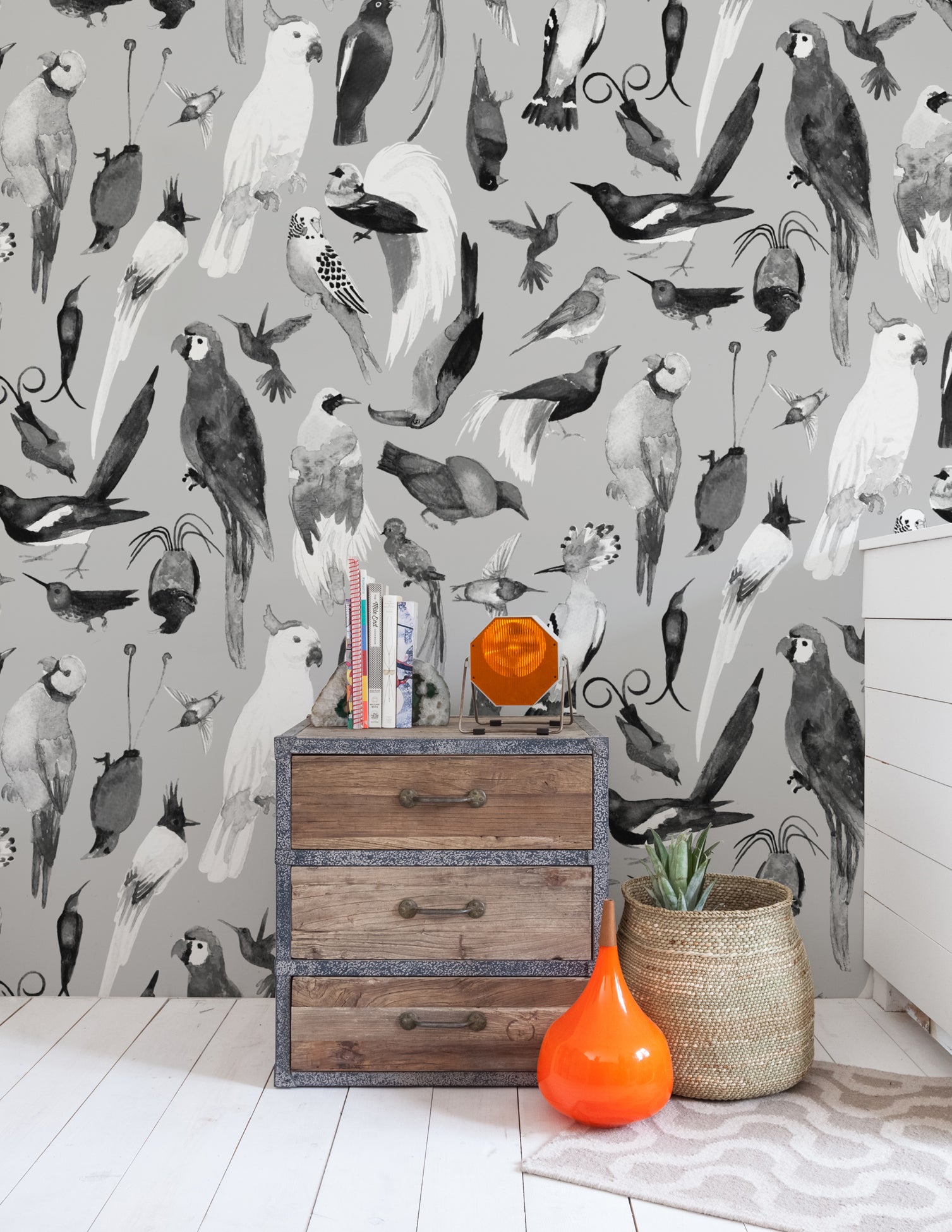Paradise Birds Loe