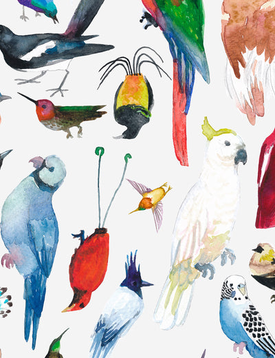 Paradise Birds Maui