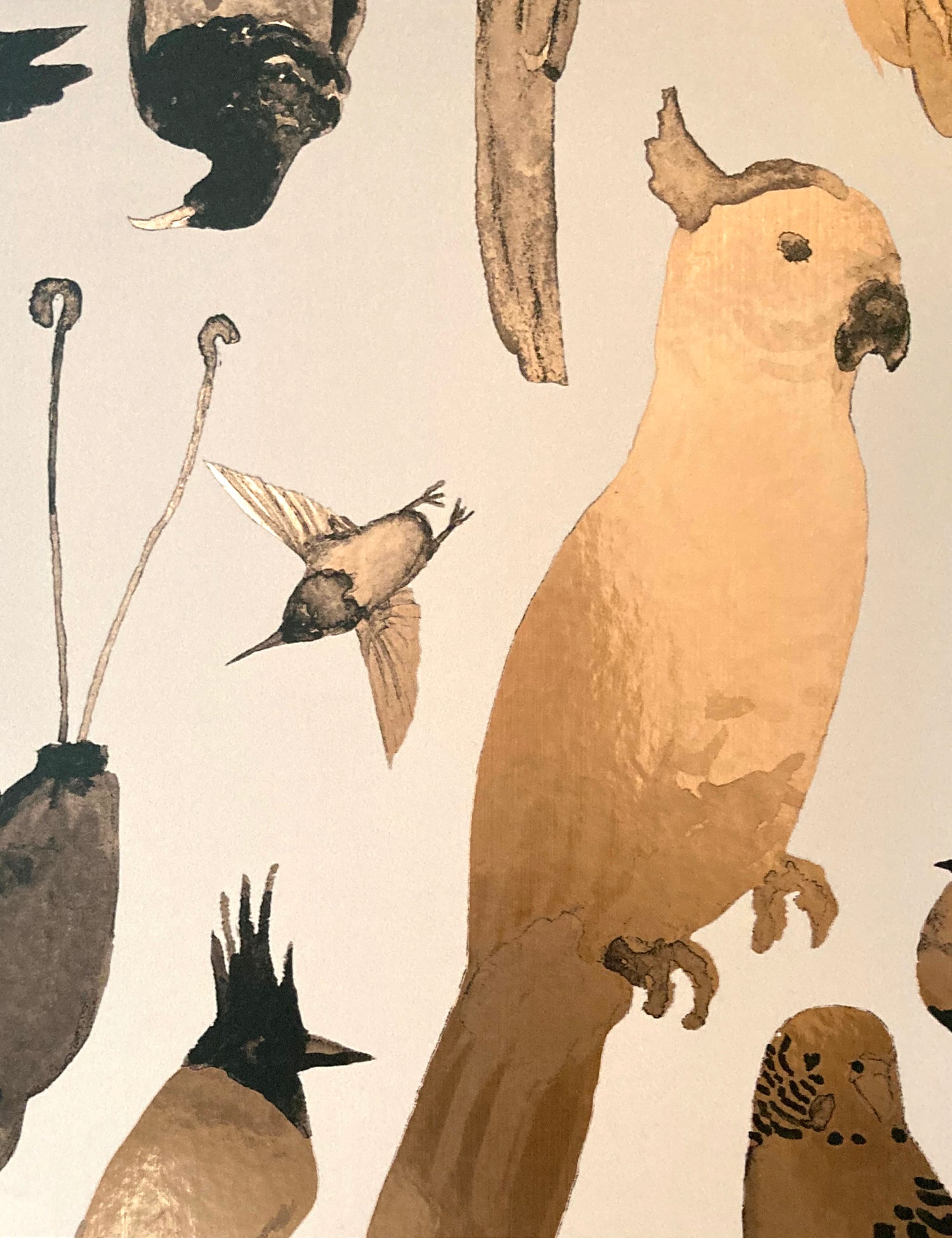 Paradise Birds Metallic Coucou
