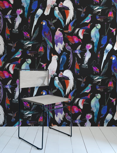 Paradise Birds Myna
