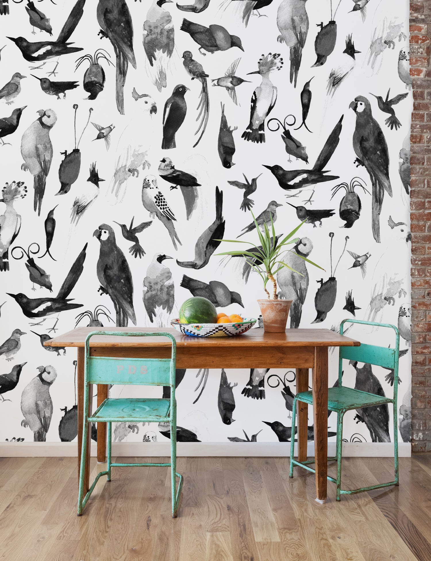 Paradise Birds Uli