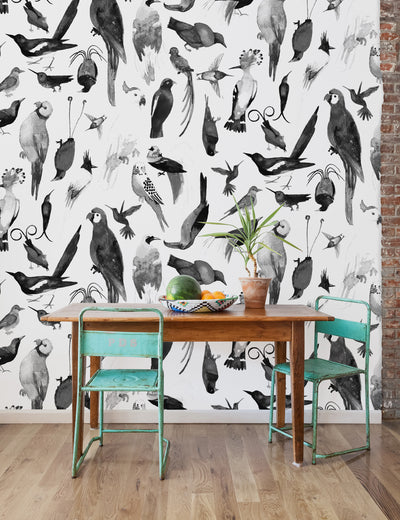 Paradise Birds Uli
