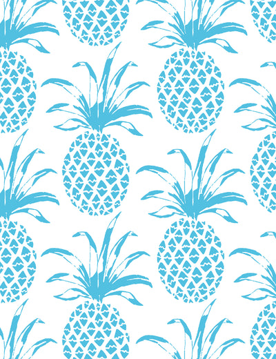 Piña Sola Delfín