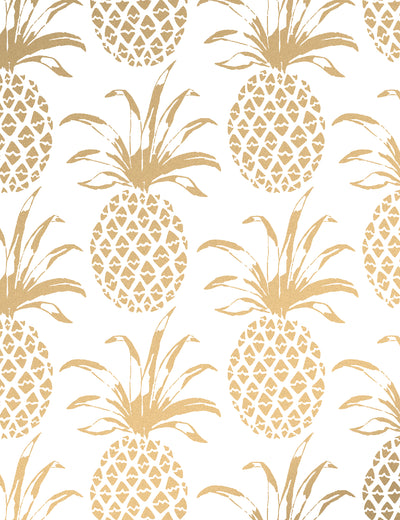 Piña Sola Sphinx