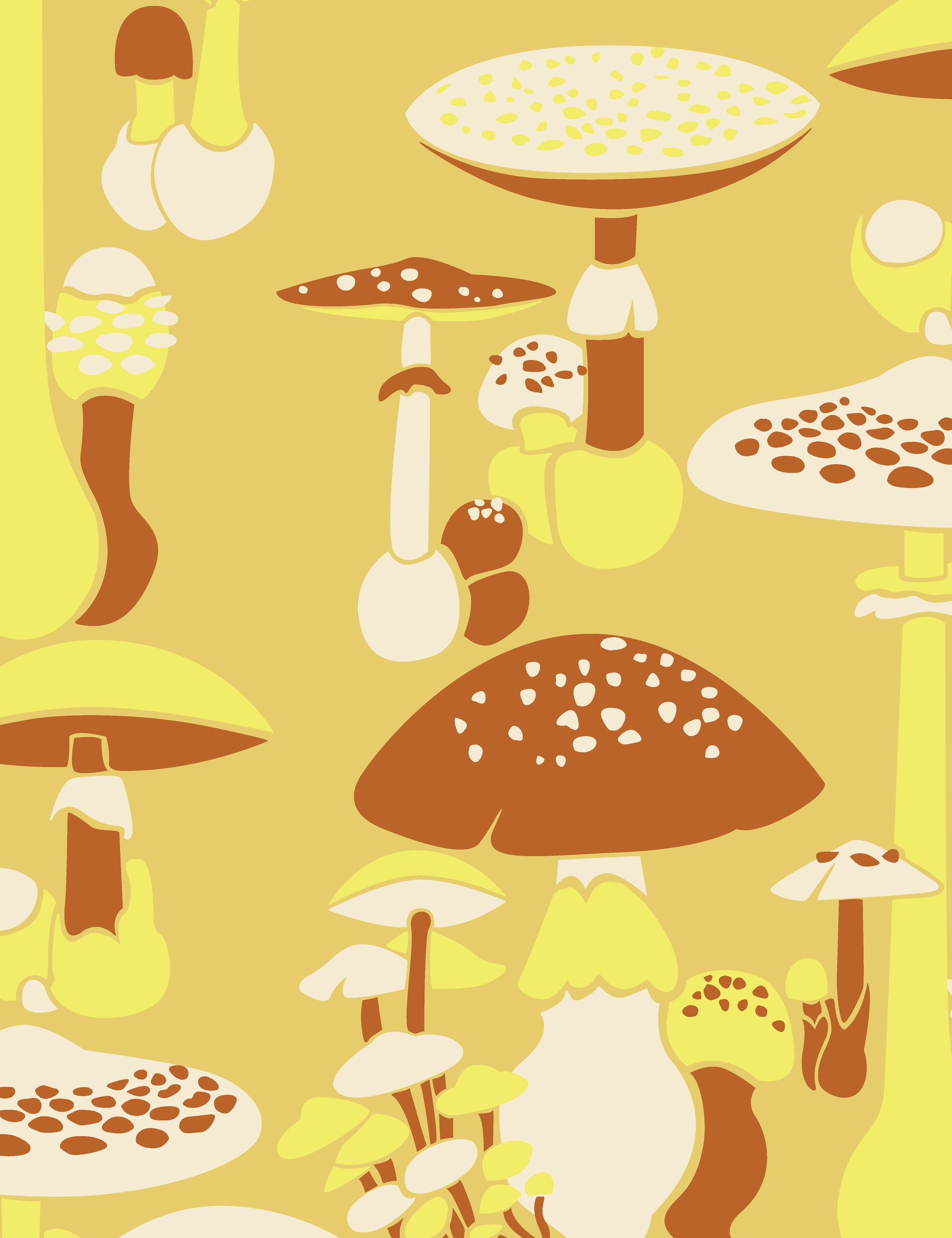 Shroom Pedro