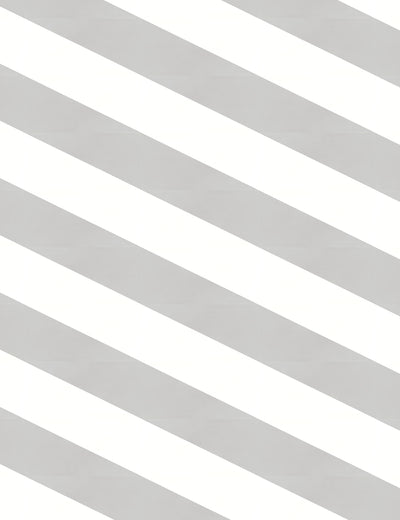 Split Rectangle Right Cloud Swan