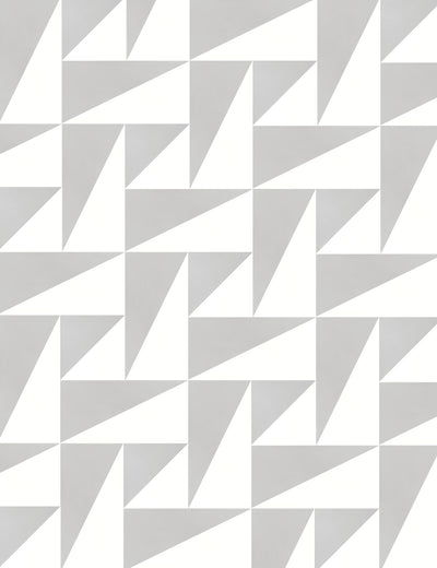 Split Rectangle Left Cloud Swan