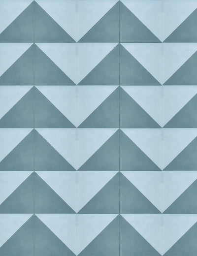 Split Square Thyme Powder