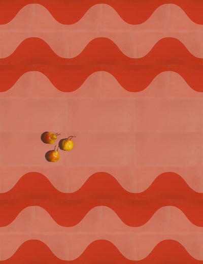 Timewave Clay Terracotta