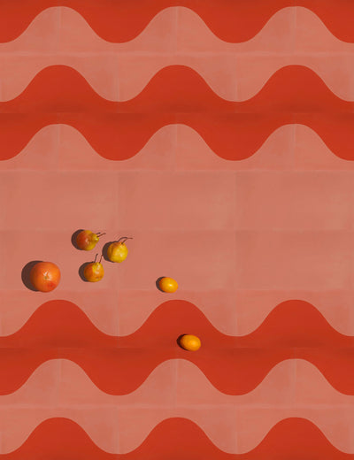 Timewave Clay Terracotta