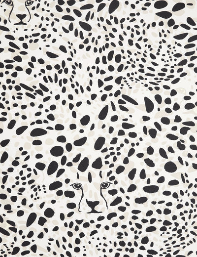 Cheetah Vision Haze