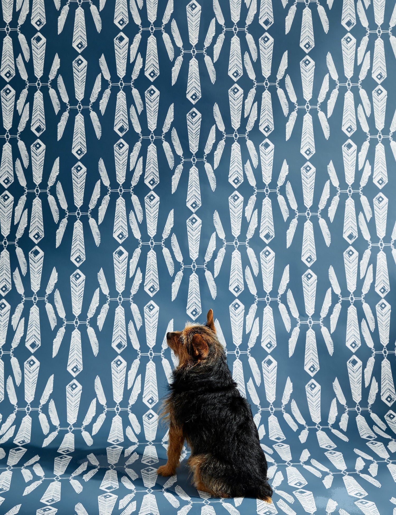 Indian Summer Lagoon