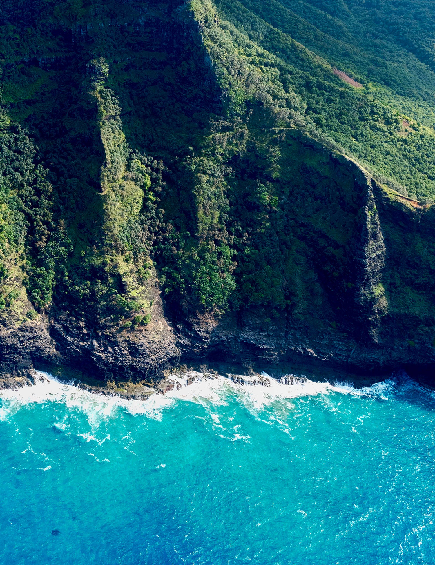 'The Rock' by Dinesh Boaz