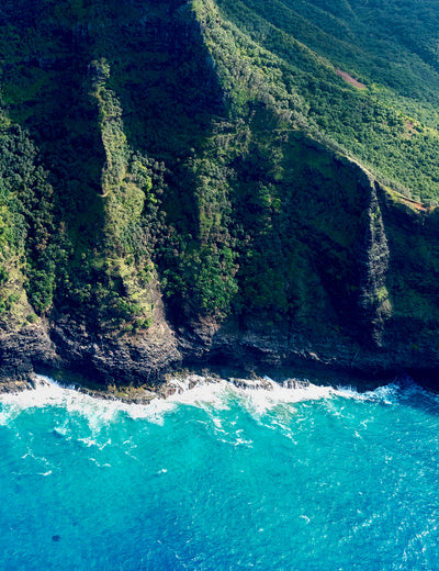 'The Rock' by Dinesh Boaz