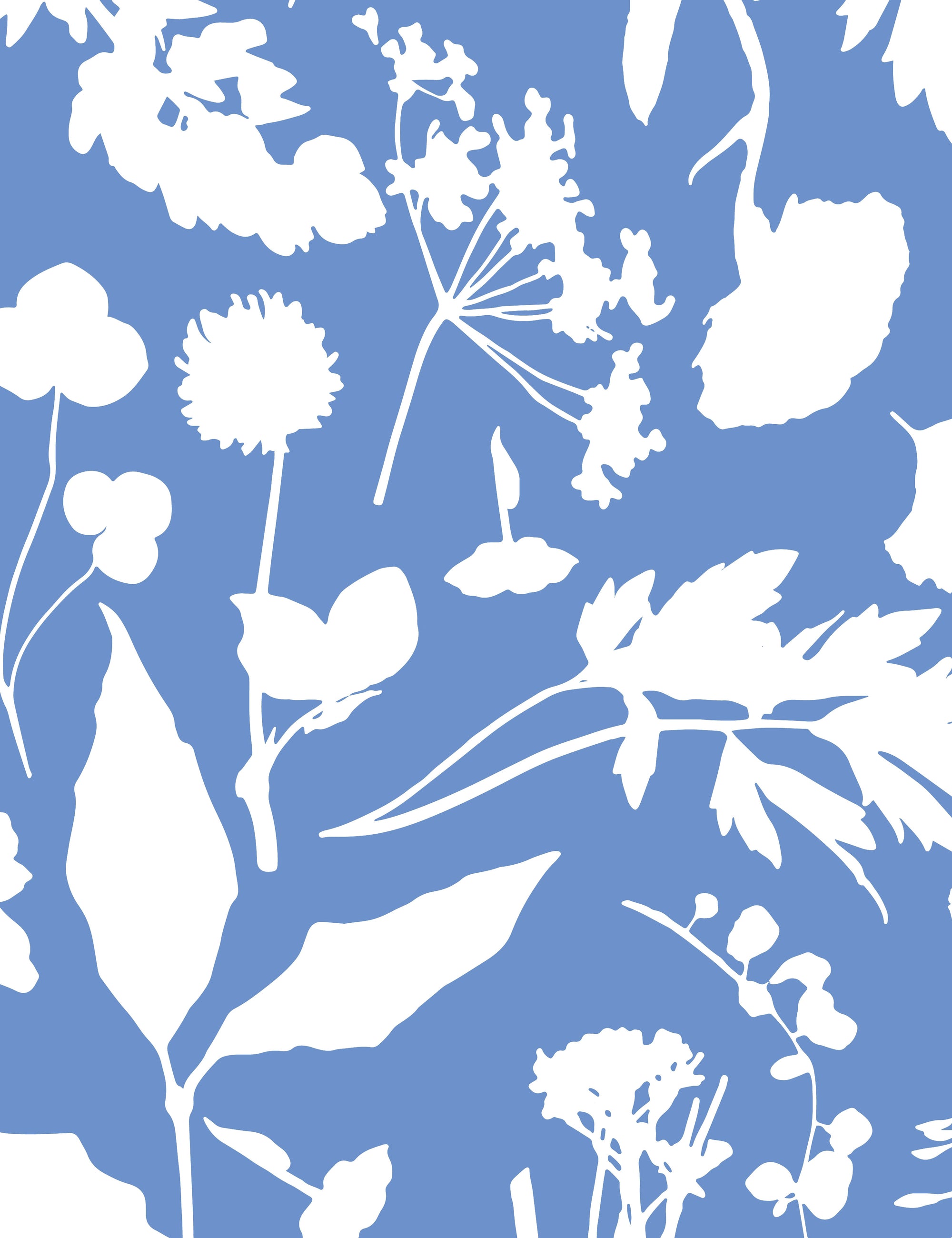 Bloom Borage