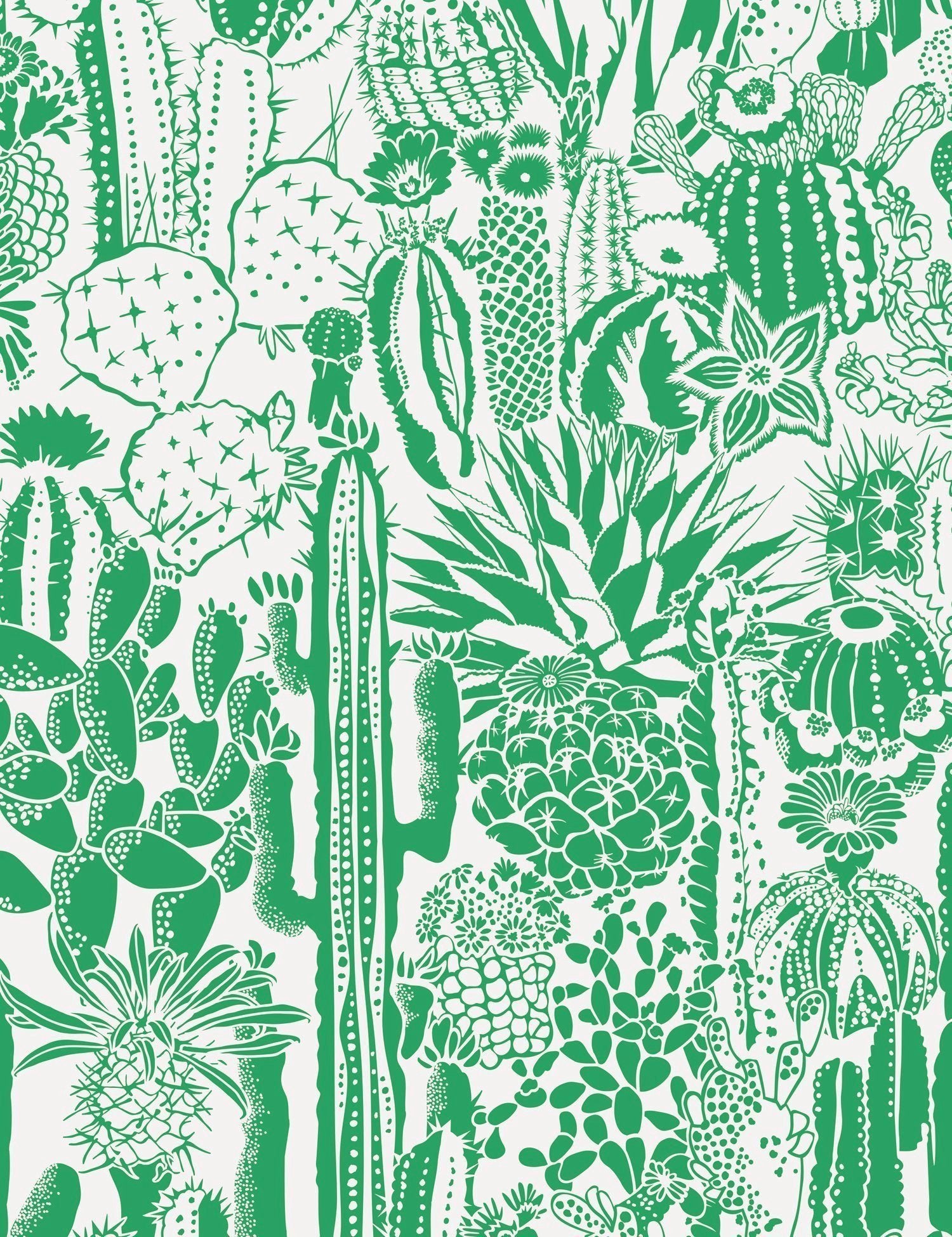 Cactus Spirit Kelly