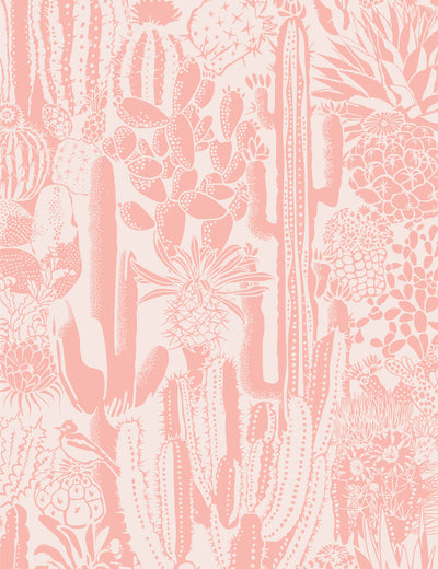 Cactus Spirit Splendid