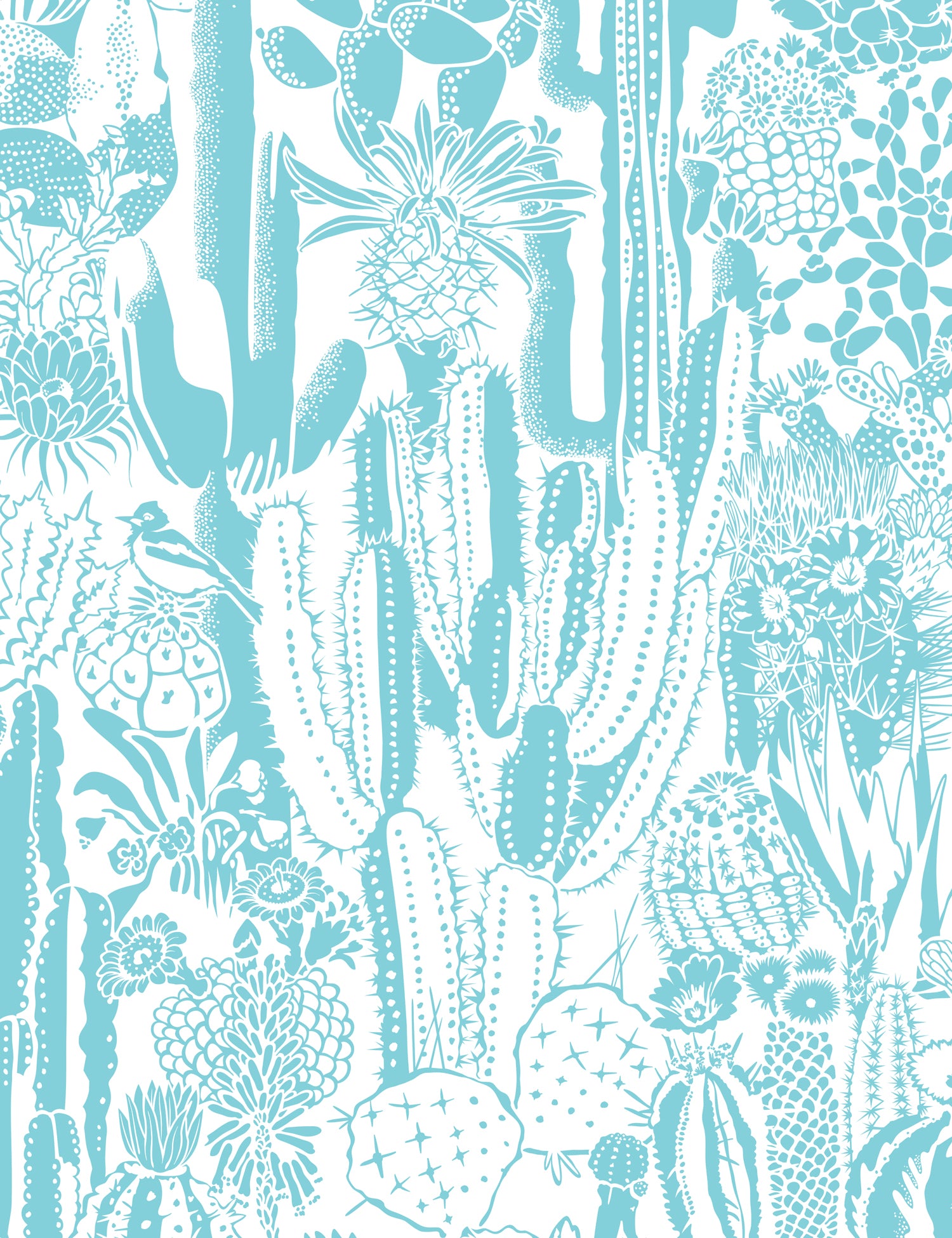 Cactus Spirit Tequila