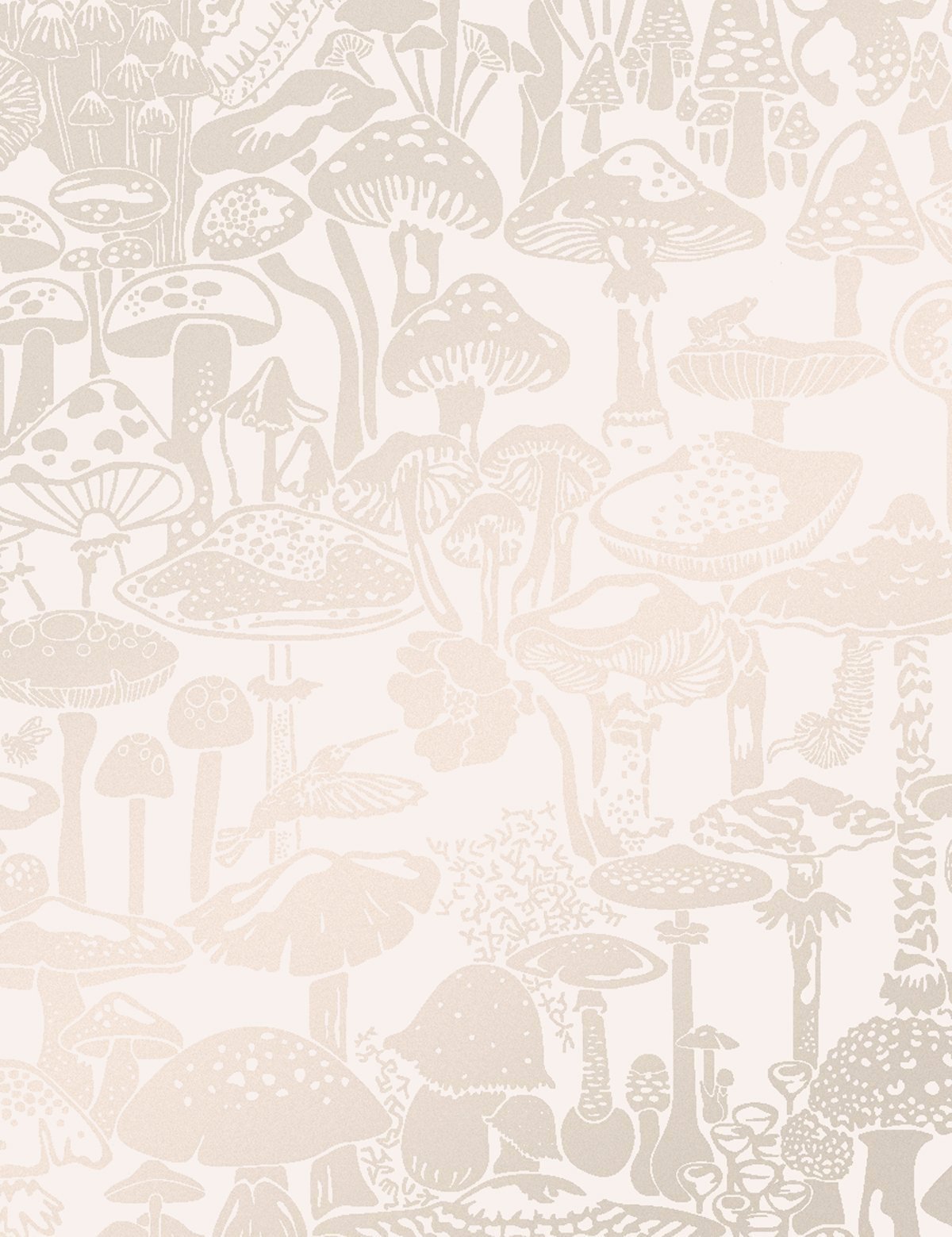 Mushroom City Cava