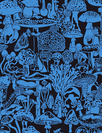Mushroom City Asteroid